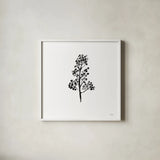 Botticelli Plant IV Black by Kristy Rice. Shown in a crisp white glass frame for a clean and minimalist style. Available as an archival giclee rolled canvas, fine art paper, or poster print. SKU 74411a.