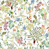 Botticelli Plants I by Kristy Rice. SKU 54042a. Archival Giclee Fine art print for wall decor.