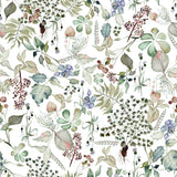 Botticelli Plants I Light by Kristy Rice. SKU 71489a. Archival Giclee Fine art print for wall decor.