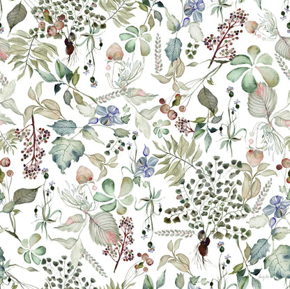 Botticelli Plants I Light by Kristy Rice. SKU 71489a. Archival Giclee Fine art print for wall decor.