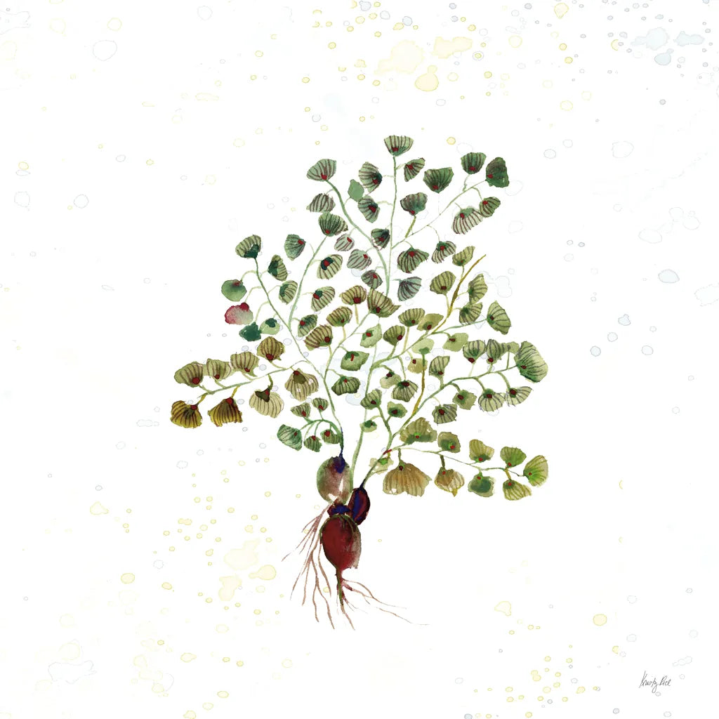 Botticelli Plants II by Kristy Rice. SKU 54043a. Archival Giclee Fine art print for wall decor.