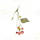 Botticelli Plants III by Kristy Rice. SKU 54044a. Archival Giclee Fine art print for wall decor.