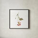 Botticelli Plants III by Kristy Rice. Shown in a sleek black glass frame for a contemporary gallery look. Available as an archival giclee rolled canvas, fine art paper, or poster print. SKU 54044a.