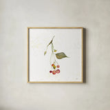 Botticelli Plants III by Kristy Rice. Shown in a natural wood glass frame for a timeless modern aesthetic. Available as an archival giclee rolled canvas, fine art paper, or poster print. SKU 54044a.