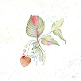 Botticelli Plants V by Kristy Rice. SKU 54046a. Archival Giclee Fine art print for wall decor.