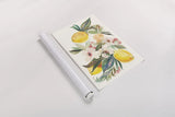 Citrus Summer I by Kristy Rice. shown as a rolled paper print. Available as archival giclee rolled canvas, fine art paper, or poster print. SKU 58102i.
