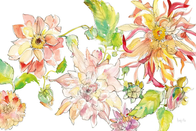 Dahlia Delight of the Day I by Kristy Rice. SKU 35617i. Archival Giclee Fine art print for wall decor.