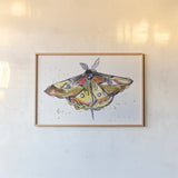 Golden Moth by Kristy Rice. shown as a paper print in a natural frame. Available as a archival giclee rolled canvas, fine art paper, or poster print. SKU 94267i.
