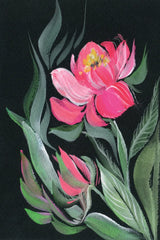 Peony on Black by Kristy Rice. SKU 88448h. Archival Giclee Fine art print for wall decor.