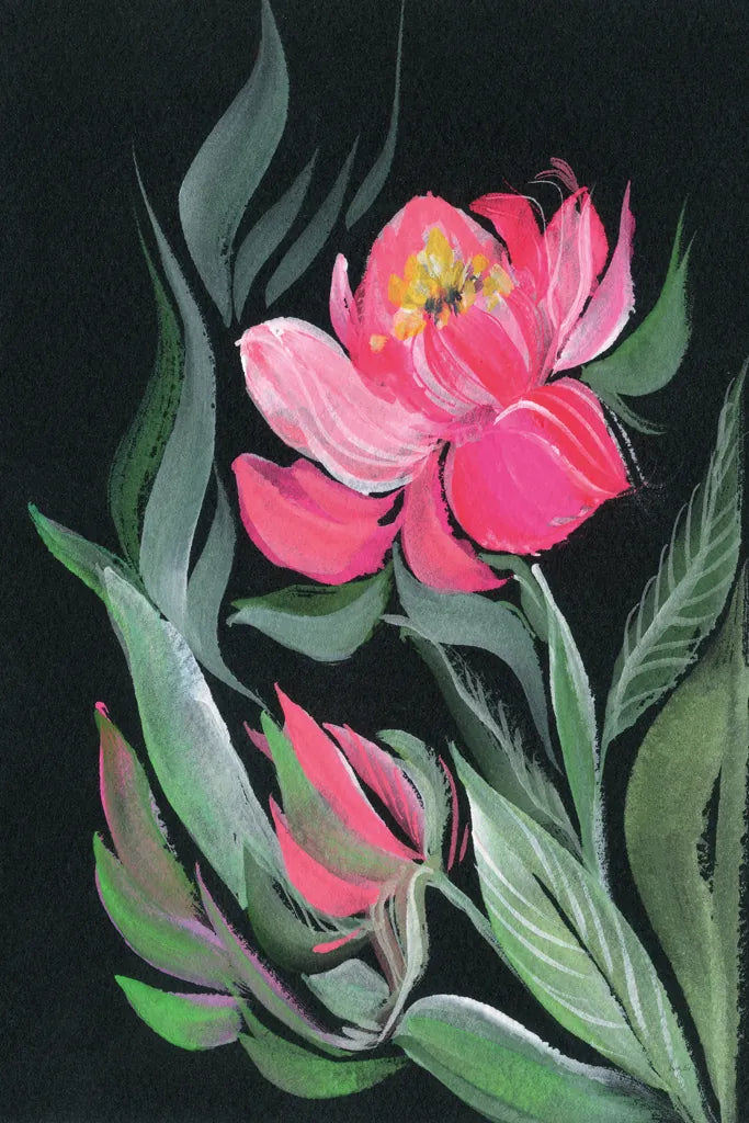 Peony on Black by Kristy Rice. SKU 88448h. Archival Giclee Fine art print for wall decor.