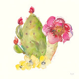 Succulent Desert II by Kristy Rice. SKU 59785a. Archival Giclee Fine art print for wall decor.