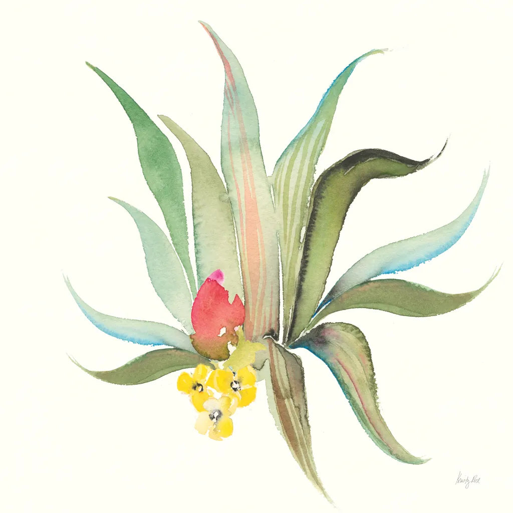 Succulent Desert V by Kristy Rice. SKU 59788a. Archival Giclee Fine art print for wall decor.