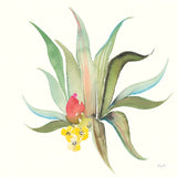 Succulent Desert V by Kristy Rice. SKU 59788a. Archival Giclee Fine art print for wall decor.