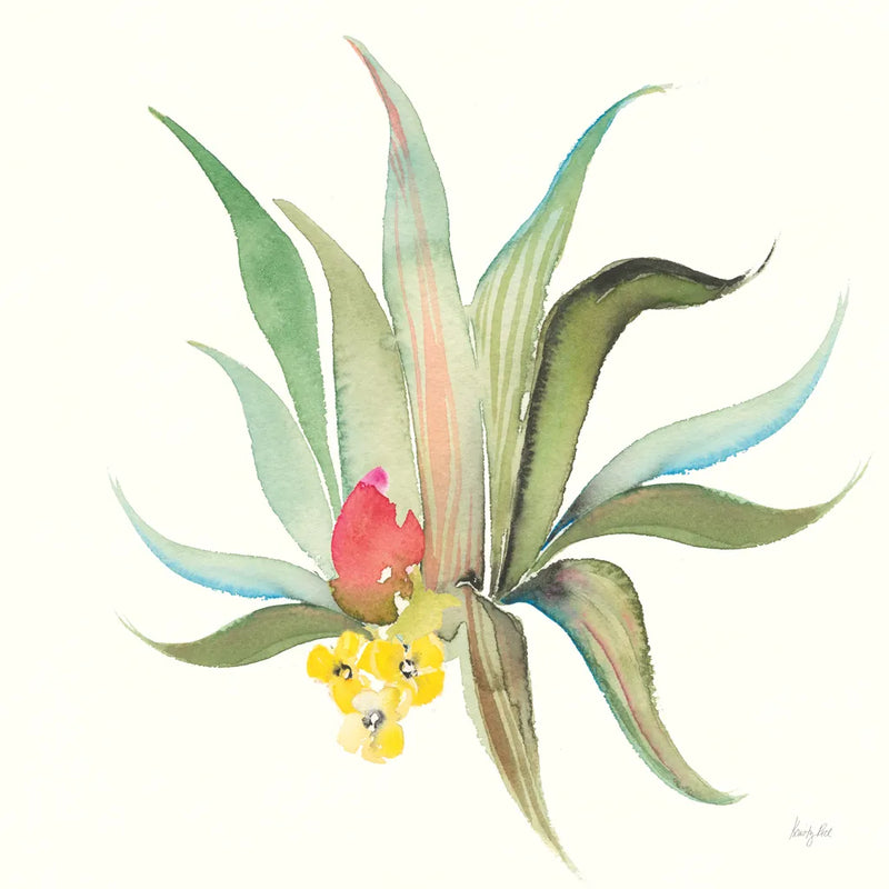 Succulent Desert V by Kristy Rice. SKU 59788a. Archival Giclee Fine art print for wall decor.