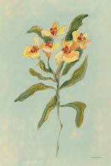 Lily Study I by Krystal Adams. SKU 102748h. Archival Giclee Fine art print for wall decor.