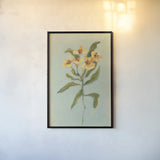 Lily Study I by Krystal Adams. shown as a paper print in a black flame. Available as a archival giclee rolled canvas, fine art paper, or poster print. SKU 102748h.