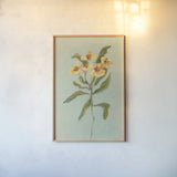 Lily Study I by Krystal Adams. shown as a paper print in a natural frame. Available as a archival giclee rolled canvas, fine art paper, or poster print. SKU 102748h.