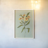 Lily Study I by Krystal Adams. shown as a paper print in a white frame. Available as a archival giclee rolled canvas, fine art paper, or poster print. SKU 102748h.