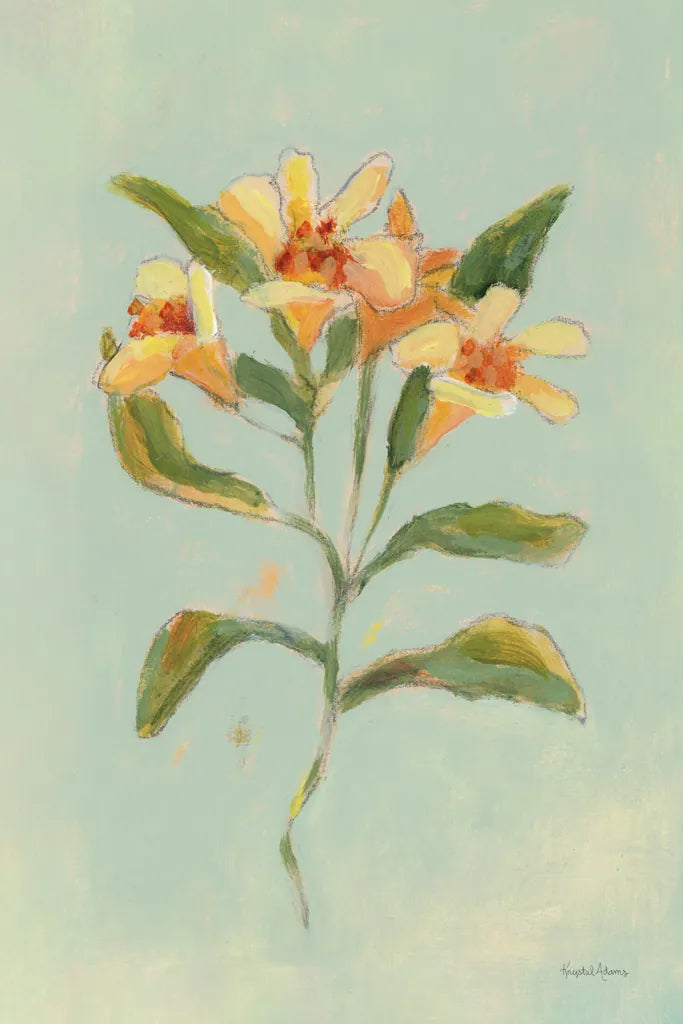 Lily Study II by Krystal Adams. SKU 102749h. Archival Giclee Fine art print for wall decor.