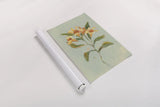 Lily Study II by Krystal Adams. shown as a rolled paper print. Available as archival giclee rolled canvas, fine art paper, or poster print. SKU 102749h.