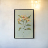 Lily Study II by Krystal Adams. shown as a paper print in a black flame. Available as a archival giclee rolled canvas, fine art paper, or poster print. SKU 102749h.
