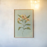 Lily Study II by Krystal Adams. shown as a paper print in a natural frame. Available as a archival giclee rolled canvas, fine art paper, or poster print. SKU 102749h.