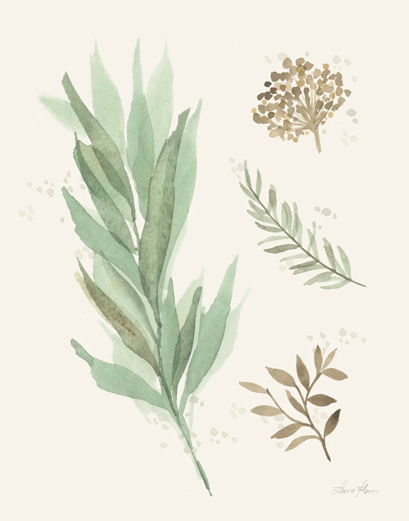 Leaf and Stem I by Laura Horn