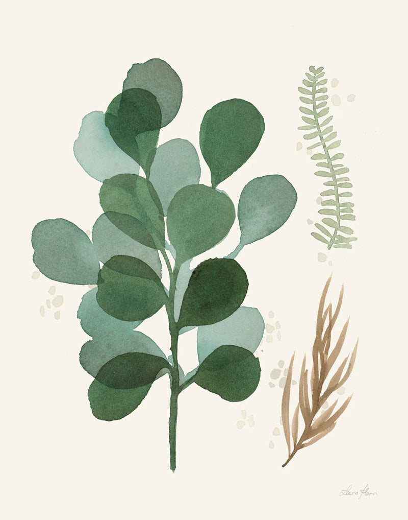 Leaf and Stem II by Laura Horn
