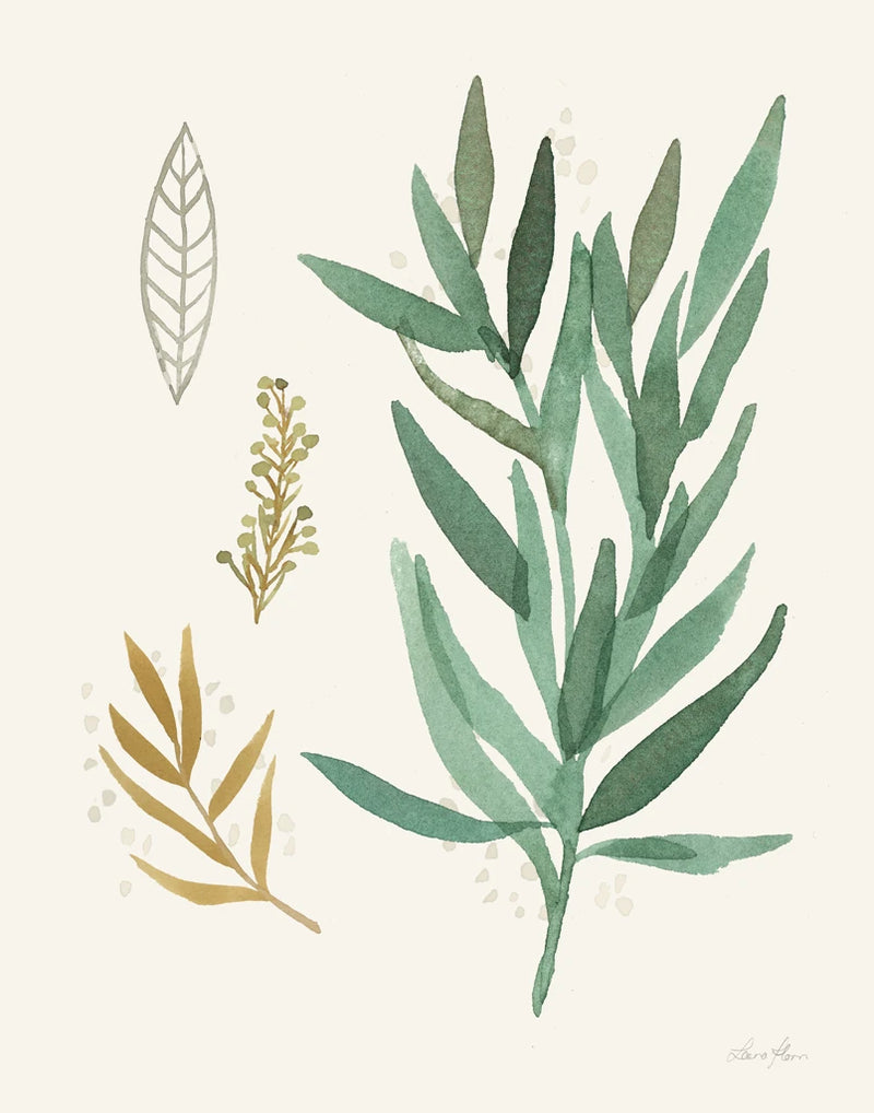 Leaf and Stem IV by Laura Horn