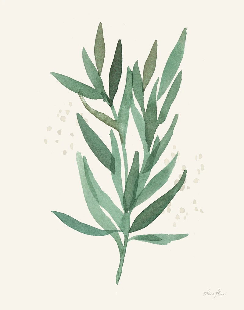 Leaf and Stem VI by Laura Horn