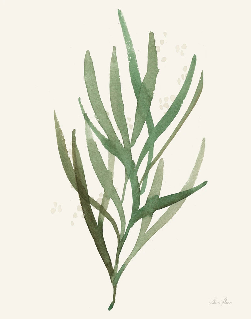 Leaf and Stem VII by Laura Horn