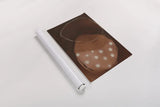 Winter Hibernation by Laura Horn. shown as a rolled paper print. Available as archival giclee rolled canvas, fine art paper, or poster print. SKU 73166h.