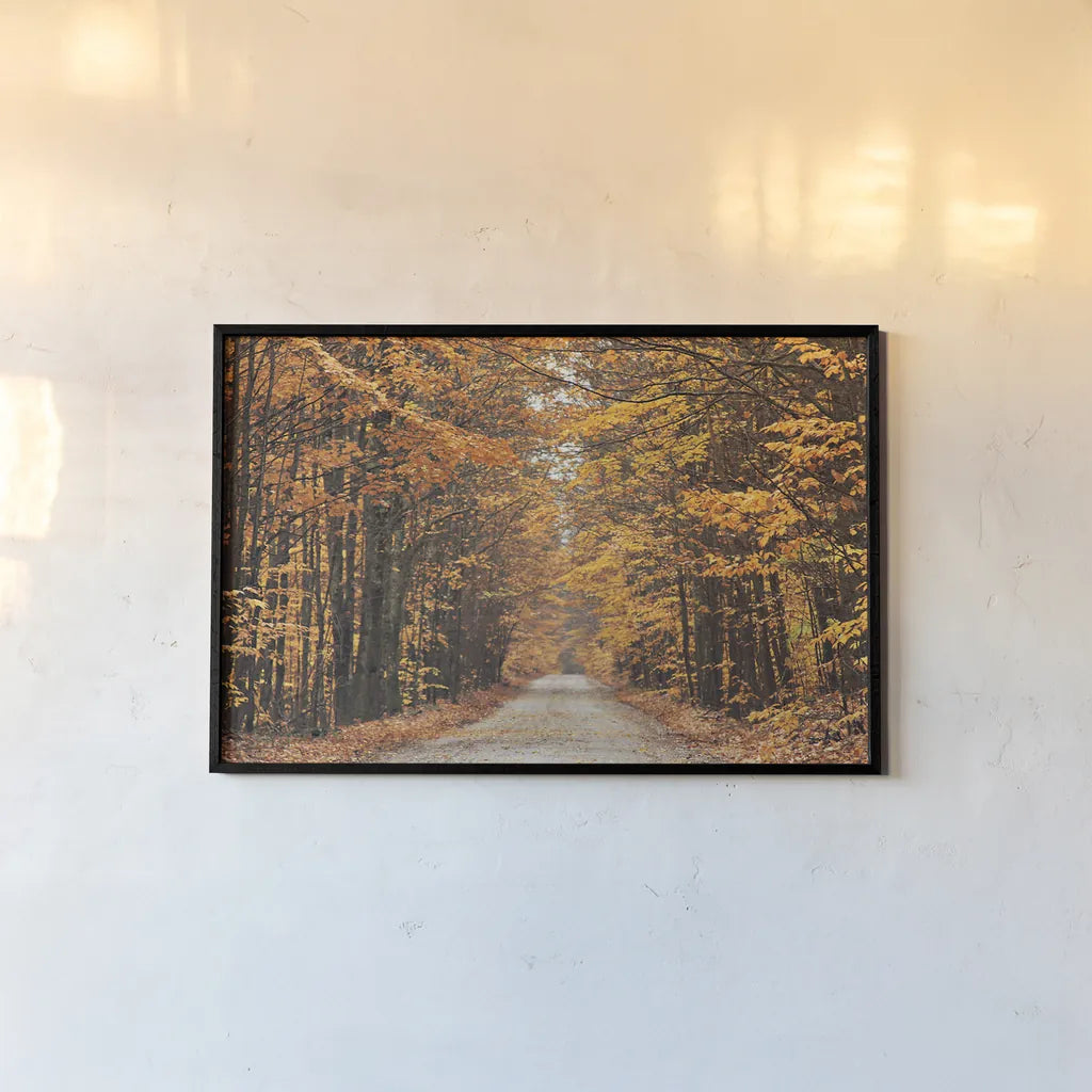 Autumn Country Road by Laura Marshall. shown as a paper print in a black flame. Available as a archival giclee rolled canvas, fine art paper, or poster print. SKU 16683i.