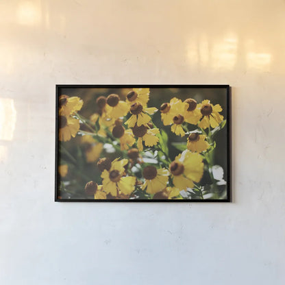 Autumn Flowers II by Laura Marshall. shown as a paper print in a black flame. Available as a archival giclee rolled canvas, fine art paper, or poster print. SKU 63258i.