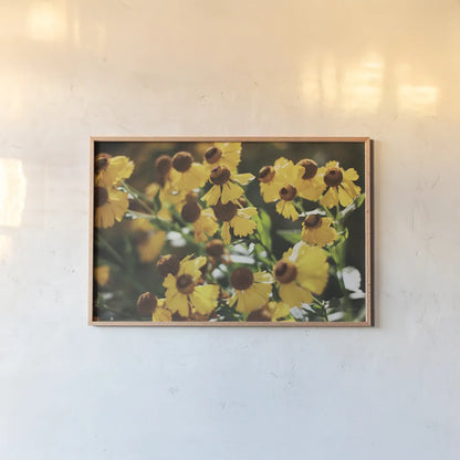 Autumn Flowers II by Laura Marshall. shown as a paper print in a natural frame. Available as a archival giclee rolled canvas, fine art paper, or poster print. SKU 63258i.