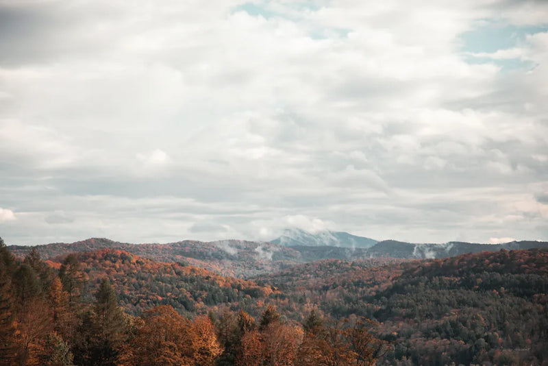 Autumn Hills I by Laura Marshall. SKU 68099i. Archival Giclee Fine art print for wall decor.