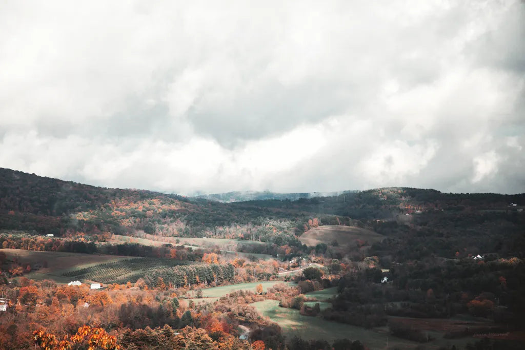 Autumn Hills II by Laura Marshall. SKU 68100i. Archival Giclee Fine art print for wall decor.