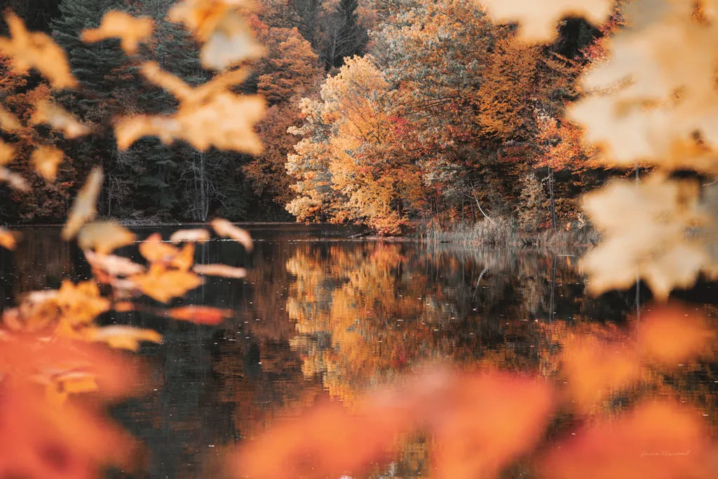 Autumn Reflections by Laura Marshall. SKU 68101i. Archival Giclee Fine art print for wall decor.