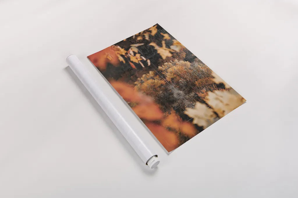 Autumn Reflections by Laura Marshall. shown as a rolled paper print. Available as archival giclee rolled canvas, fine art paper, or poster print. SKU 68101i.