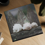Beach Treasures by Laura Marshall. Shown as a detailed flat fine art print, highlighting archival giclee quality. Available as an archival giclee rolled canvas, fine art paper, or poster print. SKU 38777a.