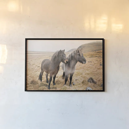 Bjarni and Imir I by Laura Marshall. shown as a paper print in a black flame. Available as a archival giclee rolled canvas, fine art paper, or poster print. SKU 49806i.