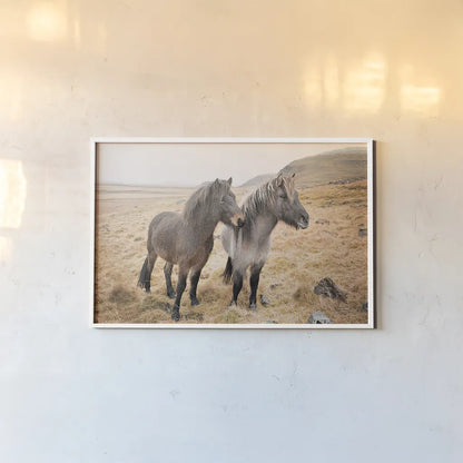 Bjarni and Imir I by Laura Marshall. shown as a paper print in a white frame. Available as a archival giclee rolled canvas, fine art paper, or poster print. SKU 49806i.