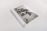 Bjarni and Imir I BW by Laura Marshall. shown as a rolled paper print. Available as archival giclee rolled canvas, fine art paper, or poster print. SKU 49807i.