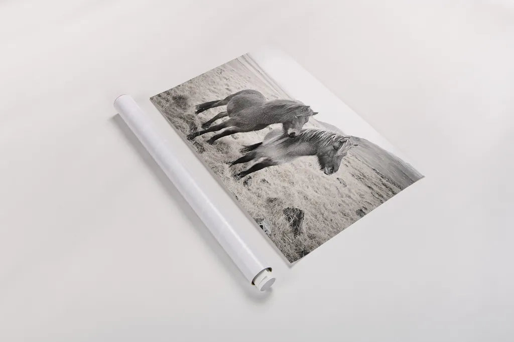 Bjarni and Imir I BW by Laura Marshall. shown as a rolled paper print. Available as archival giclee rolled canvas, fine art paper, or poster print. SKU 49807i.