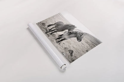 Bjarni and Imir I BW by Laura Marshall. shown as a rolled paper print. Available as archival giclee rolled canvas, fine art paper, or poster print. SKU 49807i.