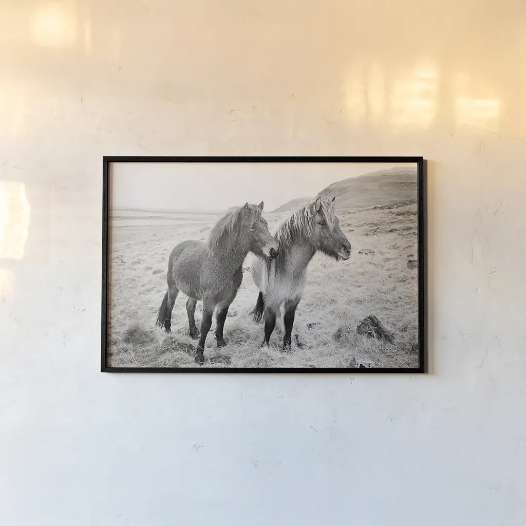 Bjarni and Imir I BW by Laura Marshall. shown as a paper print in a black flame. Available as a archival giclee rolled canvas, fine art paper, or poster print. SKU 49807i.