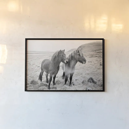 Bjarni and Imir I BW by Laura Marshall. shown as a paper print in a black flame. Available as a archival giclee rolled canvas, fine art paper, or poster print. SKU 49807i.