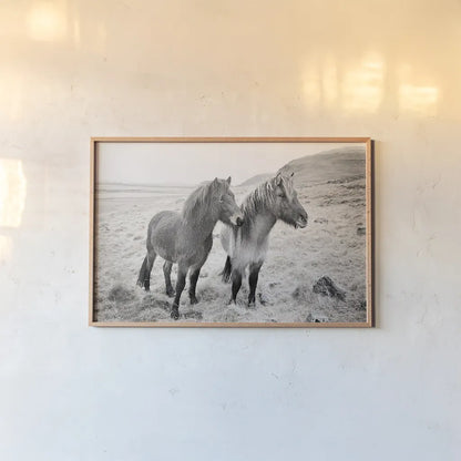 Bjarni and Imir I BW by Laura Marshall. shown as a paper print in a natural frame. Available as a archival giclee rolled canvas, fine art paper, or poster print. SKU 49807i.