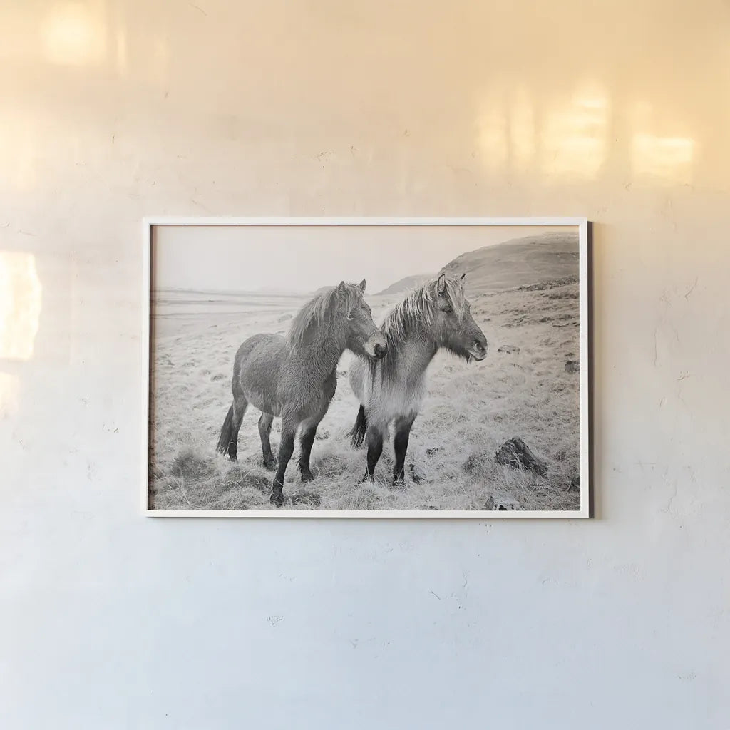 Bjarni and Imir I BW by Laura Marshall. shown as a paper print in a white frame. Available as a archival giclee rolled canvas, fine art paper, or poster print. SKU 49807i.