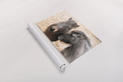 Bjarni and Imir II by Laura Marshall. shown as a rolled paper print. Available as archival giclee rolled canvas, fine art paper, or poster print. SKU 49808i.